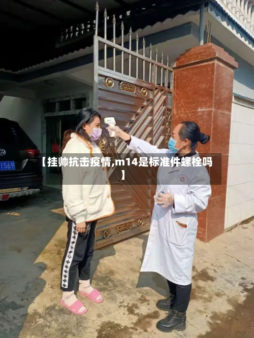 【挂帅抗击疫情,m14是标准件螺栓吗】