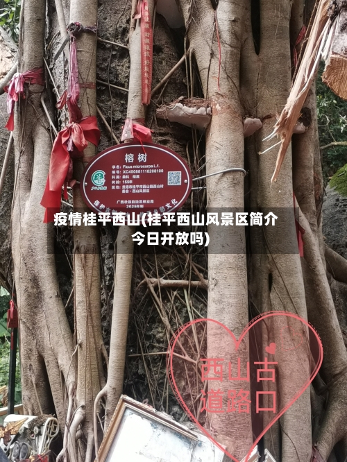疫情桂平西山(桂平西山风景区简介今日开放吗)-第3张图片