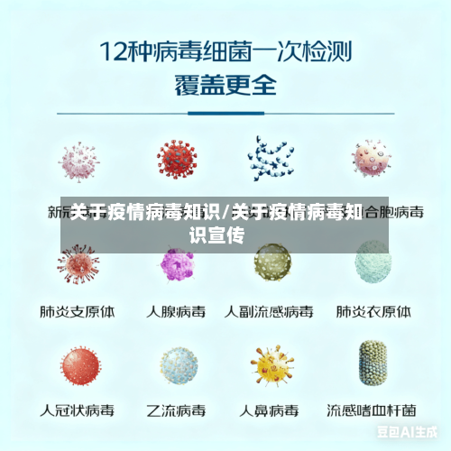 关于疫情病毒知识/关于疫情病毒知识宣传