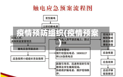 疫情预防组织(疫情预案)