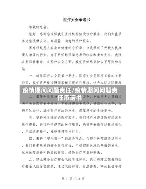 疫情期间问题责任/疫情期间问题责任承诺书-第3张图片