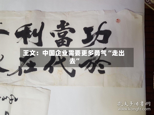 王文：中国企业需要更多勇气“走出去”
