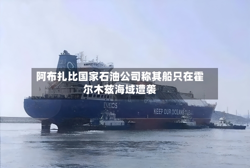 阿布扎比国家石油公司称其船只在霍尔木兹海域遭袭-第2张图片