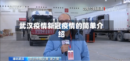 武汉疫情新冠疫情的简单介绍