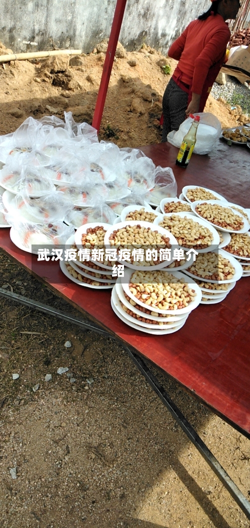 武汉疫情新冠疫情的简单介绍-第3张图片