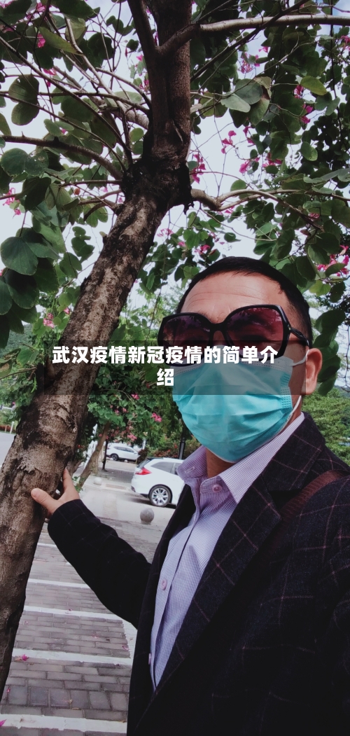 武汉疫情新冠疫情的简单介绍-第2张图片