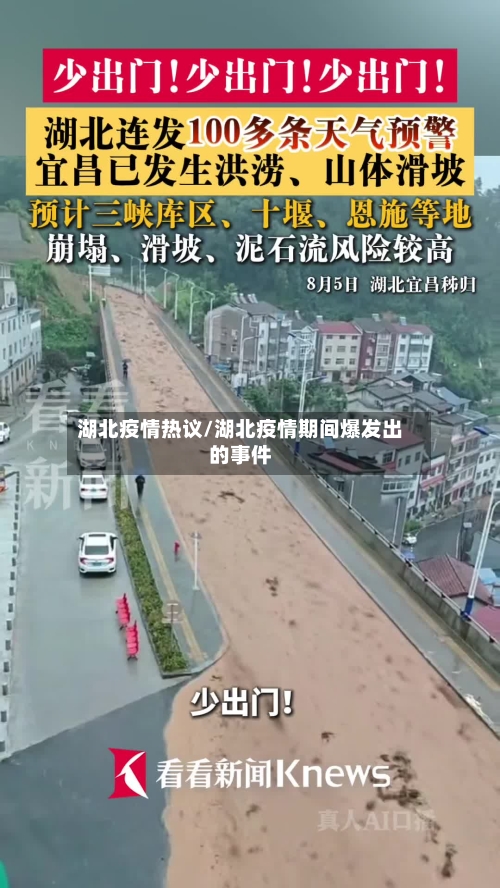 湖北疫情热议/湖北疫情期间爆发出的事件-第2张图片