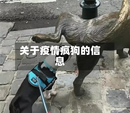 关于疫情疯狗的信息-第3张图片