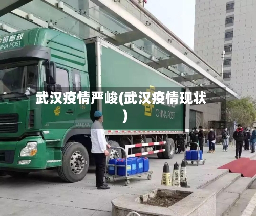 武汉疫情严峻(武汉疫情现状)-第2张图片