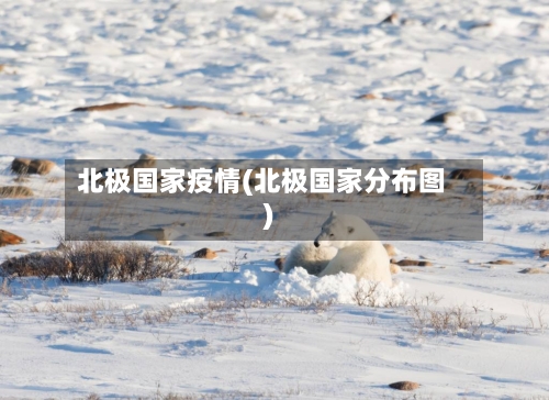 北极国家疫情(北极国家分布图)