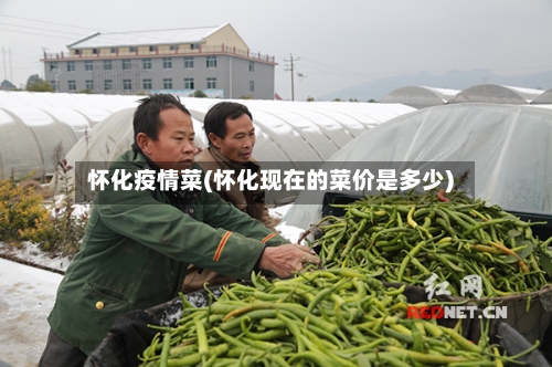 怀化疫情菜(怀化现在的菜价是多少)-第2张图片