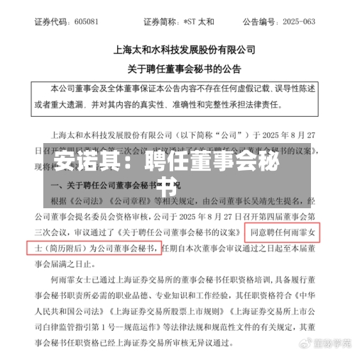 安诺其：聘任董事会秘书
