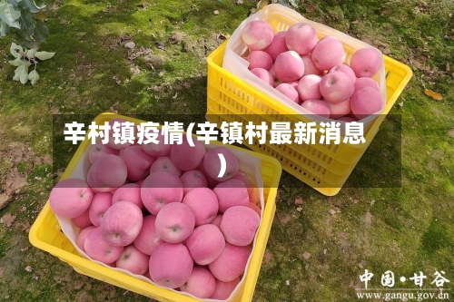 辛村镇疫情(辛镇村最新消息)