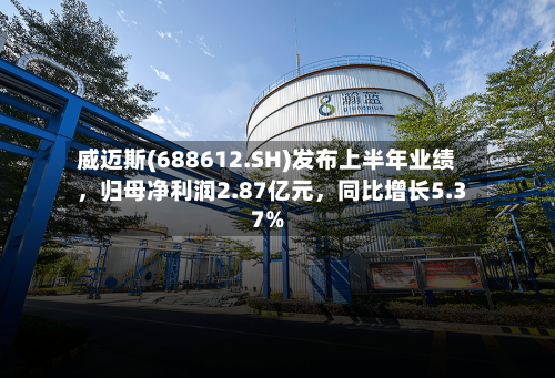 威迈斯(688612.SH)发布上半年业绩，归母净利润2.87亿元，同比增长5.37%-第3张图片
