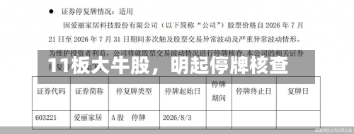 11板大牛股，明起停牌核查-第3张图片