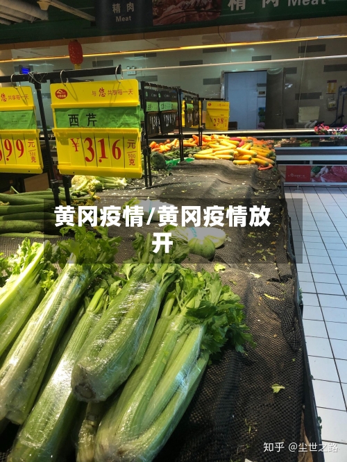 黄冈疫情/黄冈疫情放开