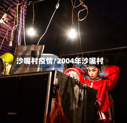 沙嘴村疫情/2004年沙嘴村