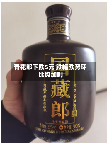 青花郎下跌5元 跌幅跌势环比均加剧-第3张图片