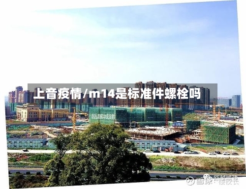 上音疫情/m14是标准件螺栓吗-第2张图片