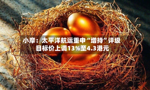 小摩：太平洋航运重申“增持	”评级 目标价上调13%至4.3港元-第2张图片