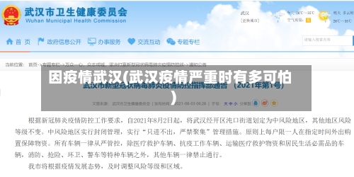 因疫情武汉(武汉疫情严重时有多可怕)-第2张图片