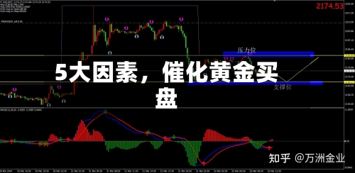 5大因素，催化黄金买盘-第2张图片