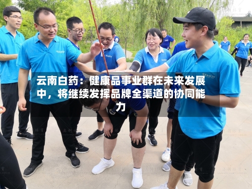 云南白药：健康品事业群在未来发展中，将继续发挥品牌全渠道的协同能力