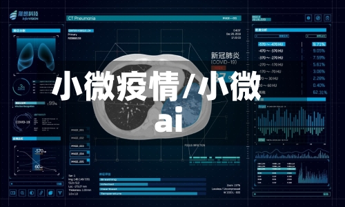小微疫情/小微ai