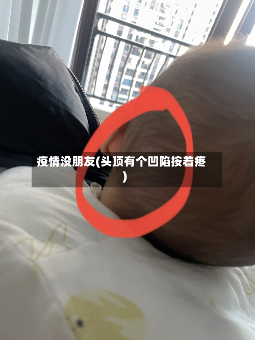 疫情没朋友(头顶有个凹陷按着疼)