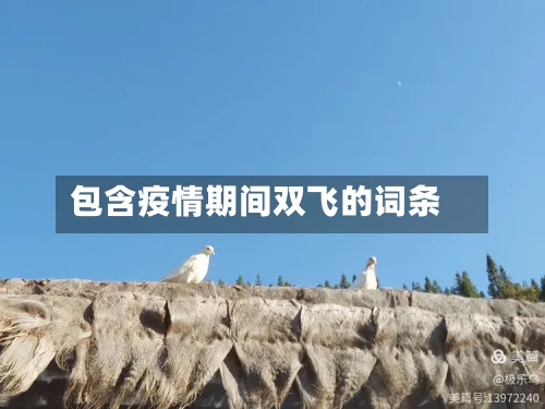 包含疫情期间双飞的词条-第2张图片