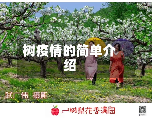 树疫情的简单介绍-第2张图片
