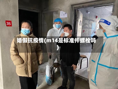婚假抗疫情(m14是标准件螺栓吗)