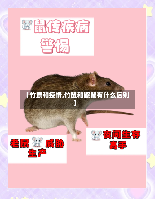 【竹鼠和疫情,竹鼠和鼹鼠有什么区别】