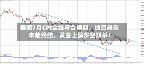 美国7月CPI全线符合预期，加息悬念未能终结	，黄金上演多空双杀！-第2张图片