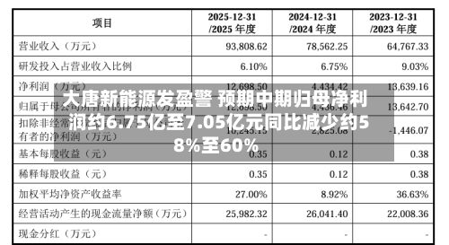 大唐新能源发盈警 预期中期归母净利润约6.75亿至7.05亿元同比减少约58%至60%-第2张图片