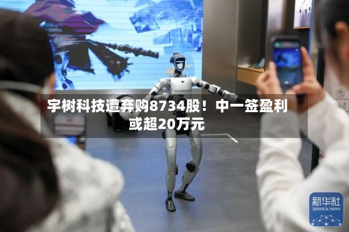 宇树科技遭弃购8734股！中一签盈利或超20万元-第2张图片