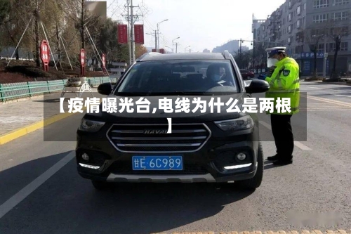 【疫情曝光台,电线为什么是两根】-第3张图片
