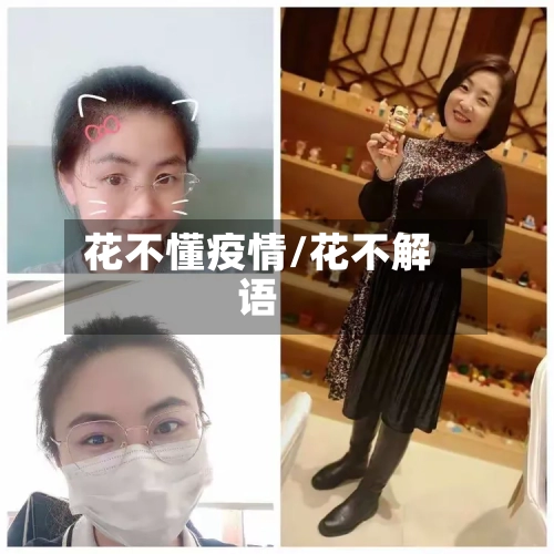 花不懂疫情/花不解语