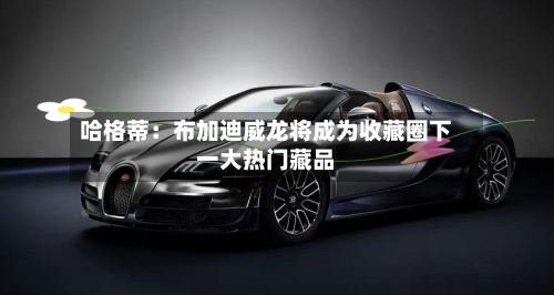 哈格蒂：布加迪威龙将成为收藏圈下一大热门藏品-第2张图片