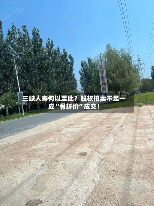 三峡人寿何以至此？股权拍卖不足一成“骨折价”成交！