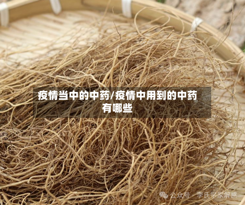 疫情当中的中药/疫情中用到的中药有哪些