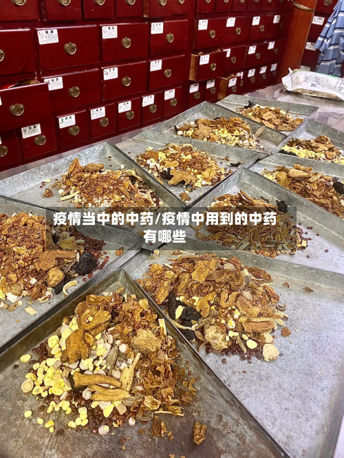 疫情当中的中药/疫情中用到的中药有哪些-第3张图片