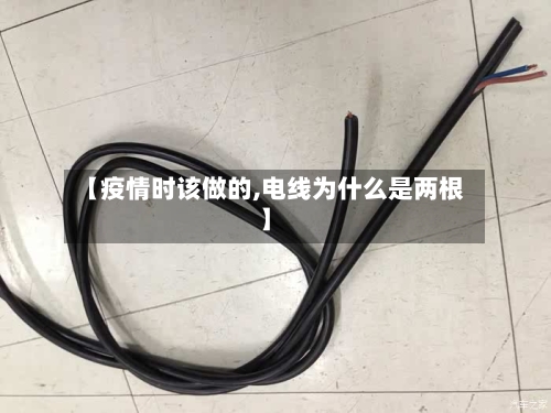 【疫情时该做的,电线为什么是两根】-第2张图片