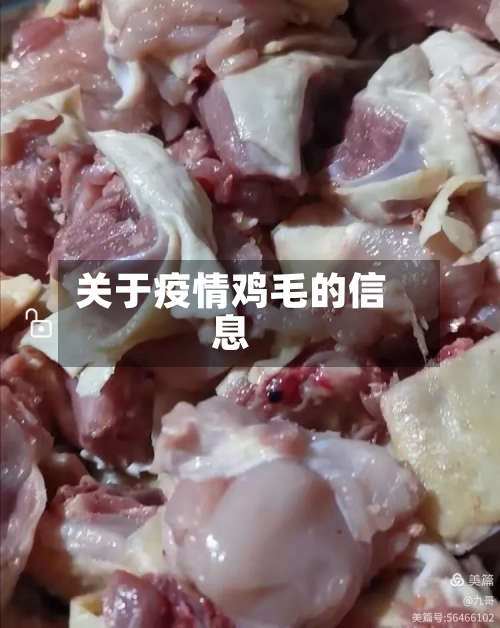 关于疫情鸡毛的信息-第2张图片