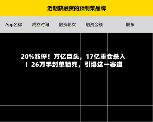 20%涨停！万亿巨头，17亿重仓杀入！26万手封单锁死	，引爆这一赛道-第2张图片