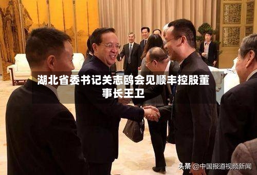 湖北省委书记关志鸥会见顺丰控股董事长王卫-第3张图片