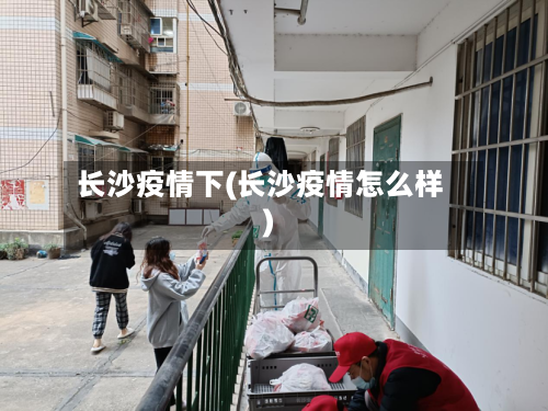 长沙疫情下(长沙疫情怎么样)-第3张图片