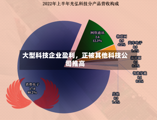 大型科技企业盈利，正被其他科技公司推高-第2张图片