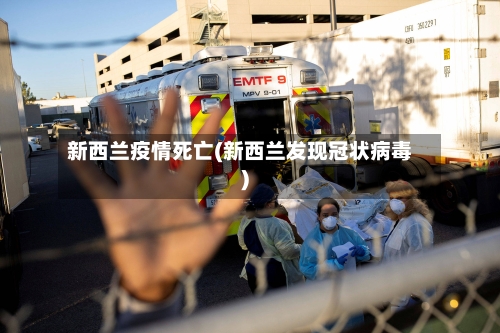 新西兰疫情死亡(新西兰发现冠状病毒)