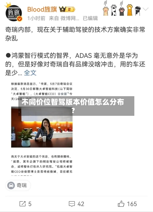 不同价位智驾版本价值怎么分布？-第2张图片
